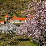 아파트 Casa Amado