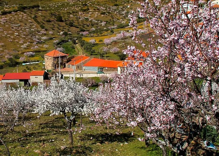 Lejlighed Casa Amado