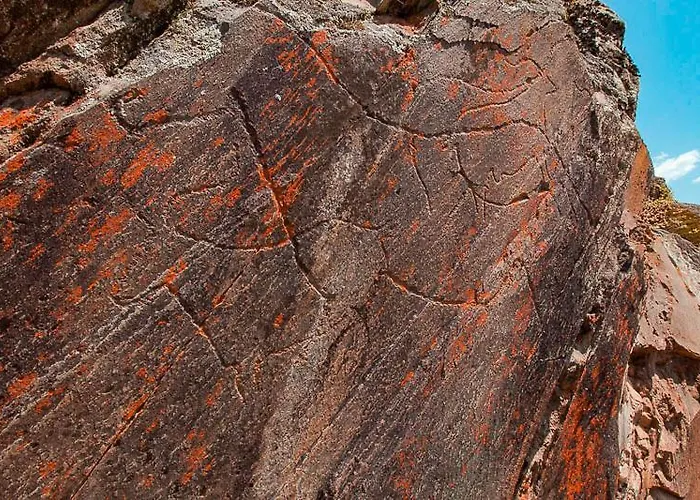 Lejlighed Casa Amado Vila Nova de Foz Côa