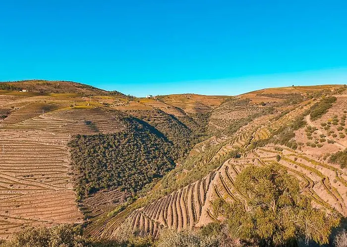 Lejlighed Casa Amado Vila Nova de Foz Côa